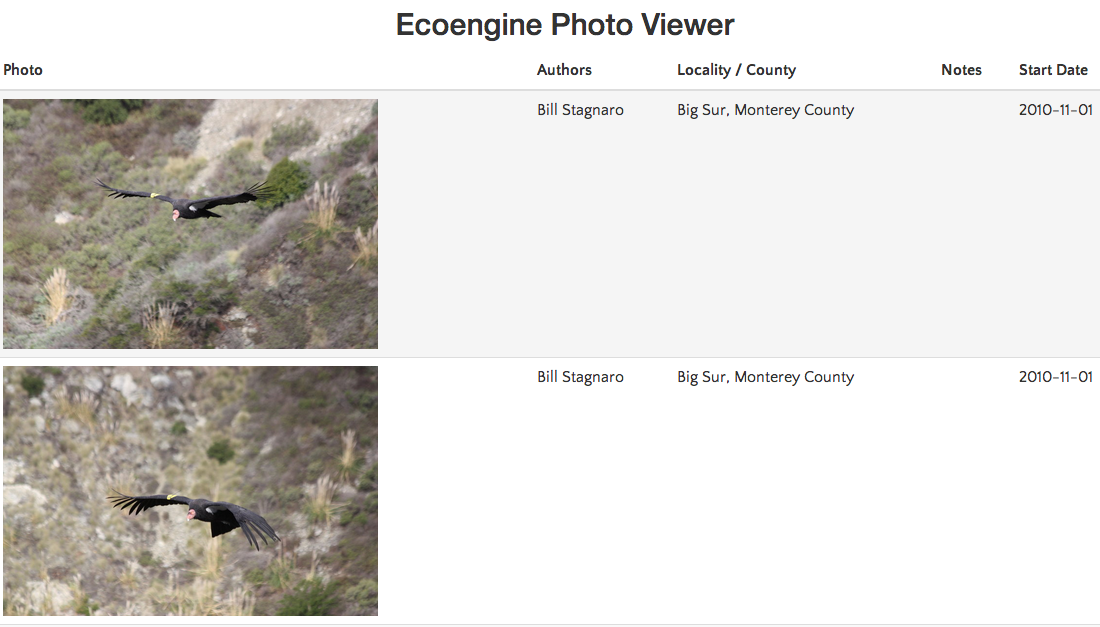 Ecoengine photo viewer